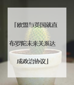 欧盟与英国就直布罗陀未来关系达成政治协议
